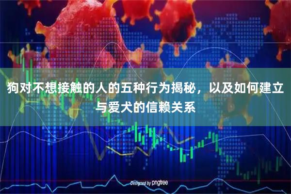 狗对不想接触的人的五种行为揭秘，以及如何建立与爱犬的信赖关系